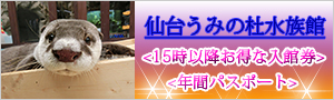 仙台うみの杜水族館　15時以降お得な入館券と年パス