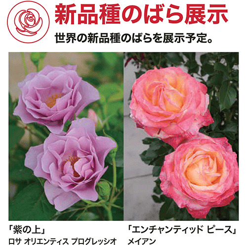 Rose Expo FUKUYAMA 2025 | チケットぴあ[イベント 博覧会・展示会