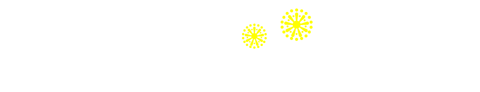 全国花火大会 有料観覧席 チケットぴあ