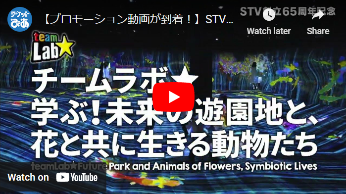 平日限定】STV創立65周年記念 チームラボ 学ぶ！未来の遊園地と