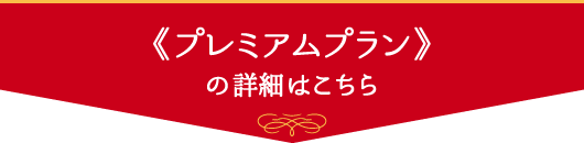 東京スカイツリー R ナイトビューペアチケット チケットぴあ