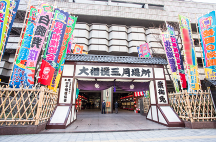 令和7年 大相撲三月場所(お土産付き)