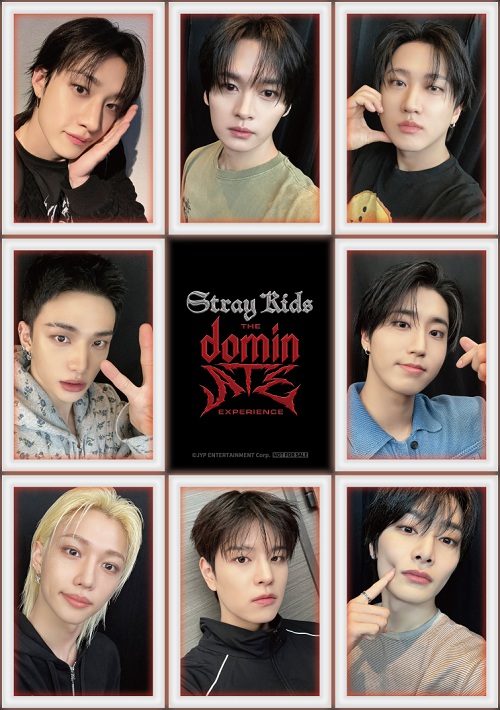 Stray Kids : The dominATE Experience』ムビチケカード(ストレイ