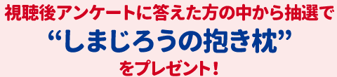 視聴後アンケートに答えた方の中から抽選で“しまじろうの抱き枕”をプレゼント！