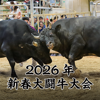 新春大闘牛大会