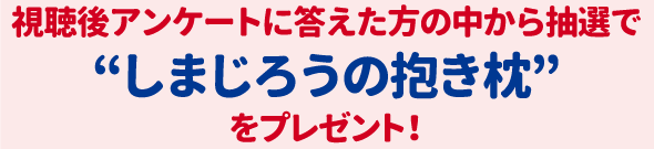 視聴後アンケートに答えた方の中から抽選で“しまじろうの抱き枕”をプレゼント！