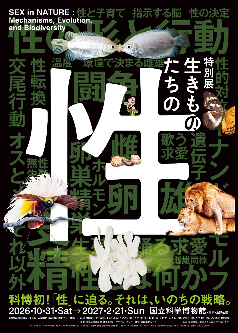 特別展「生きものたちの性」｜チケットぴあ