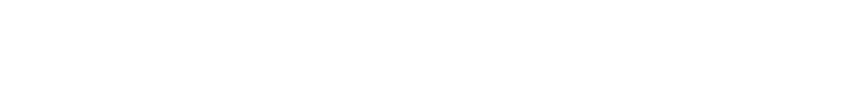 第60回 葛飾納涼花火大会