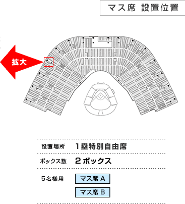 第101回全国高等学校野球選手権大会 チケットぴあ