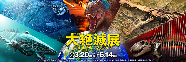 特別展「大絶滅展―生命史のビッグファイブ」